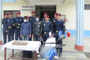 १० किलो २५० ग्राम चरेससहित दुई जना पक्राउ