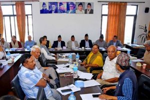 काँग्रेसमा अनुशासन उल्लंघन गर्नेलाई धमाधम कारबाही