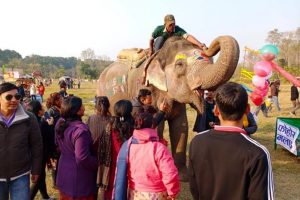 हात्ती महोत्सवअन्तर्गत इच्छाकलीलाई पेन्टिङको उपाधि
