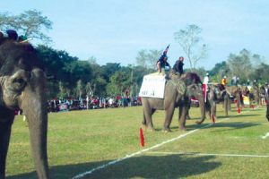 सौराहामा १६औँ हात्ती महोत्सव पुस १० देखि सञ्चालन हुने