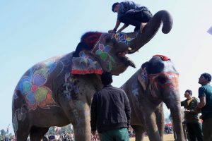 हात्ती महोत्सवको तेस्रो दिन सुन्दरी प्रतियोगिता, गायिका शान्तिश्री परियारको प्रस्तुति रहने