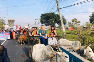 पश्चिम चितवनको पटिहानीमा विदेशी पर्यटकलाई गाडामा स्वागत गर्दै (फोटो फिचर)