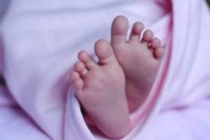 माडीमा घाँस काट्न जाने क्रममा जंगली जनावरको आक्रमणबाट एक जनाको मृत्यु