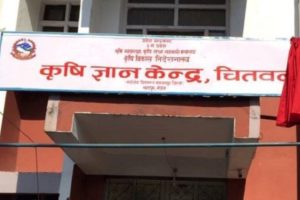 चितवनमा विषादी प्रयोगमुक्त सप्ताह हुँदै