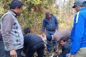 राष्ट्रिय निकुञ्जभित्र लाइन मर्मत भएपछि माडीमा विद्युत् सुचारु