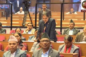 राष्ट्रियसभामा हात्ती आतंक नियन्त्रण गर्न माग