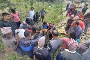 वन्यजन्तुबाट हुने क्षति न्यूनीकरण गर्न कुमरोजमा कंक्रिट वाल निर्माण
