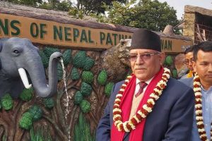 पटिहानीमा प्रचण्डद्वारा ‘अम्ब्रेला स्ट्रीट’को उद्घाटनसँगै ‘फुड फेष्टिवल’ सुरू