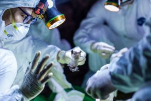 कोरोना सङ्क्रमणका कारण बेलायतमा एक नेपालीको मृत्यु