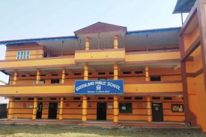 लकडाउनमा अनलाइन कक्षा सञ्चालन गर्दै ग्रीनल्याण्ड पब्लिक स्कुल