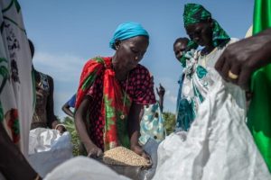 चीनद्वारा दक्षिण सुडानलाई एक हजार टन चामल सहयोग