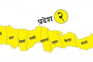 प्रदेश नं २ मा कोरोना सङ्क्रमित ४०० पुगे