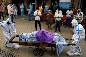 कोरोना भाइरसबाट १० लाख ८२ हजार बढीको मृत्यु