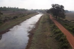 पश्चिम चितवनका कृषकले आकाशे पानी कुर्नु नपर्ने