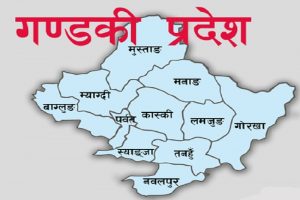 पोखरामा थप ११ मा कोरोना सङ्क्रमण पुष्टि