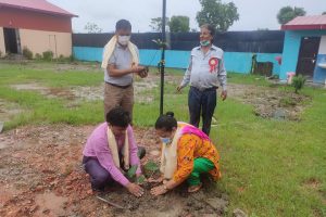 चितवनमा १६५ जना मानसिक रोगीको समाजमा पुनःस्थापना