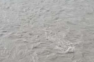 त्रिशूलीमा खस्यो मालबाहक कन्टेनर