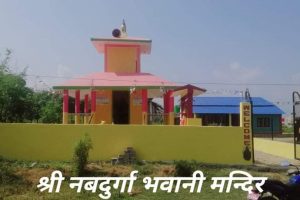 माडीको श्री नबदुर्गा मन्दिरमा बाघको मूर्ति स्थापना