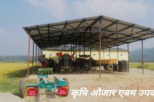 माडीको कान्तिपुरमा सामुहिक खेती सबैकाे आकर्षण बन्दै