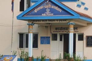 माडीमा सवारी दुर्घटना बढ्न थालेपछि प्रहरीले थाल्यो कडा निगरानी