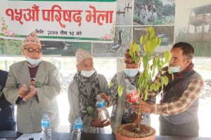 कुमरोज सामुदायिक वनको १५ औ परिषद सम्पन्न