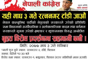 नेपाली कांग्रेस रत्ननगरले शनिवार बृहत विरोध प्रदर्शन गर्ने, महेश आयार्चबाट सम्बोधन हुने