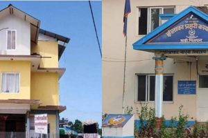 माडीमा दिनप्रतिदिन दुर्घटना बढिरहदा के गर्दै छ प्रहरी र स्थानीय सरकार ?