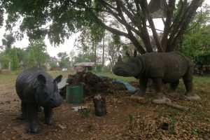 चितवनमा आध्यात्मिक ज्ञानको रुपमा परिचित शब्द चिन्तन संघ