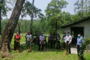 बिश्व वातावरण दिबसको अबसरमा माडीमा गरियो बृक्षारोपण