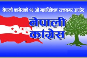 रत्ननगर नगरपालिकाका १ देखि १६ वटै वडामा काे काे भए कांग्रेसका वडा सभापति (नामावली सहित)