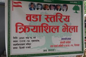 नेपाली कांग्रेस रत्ननगर-१४ को कृयाशील भेला सम्पन्न
