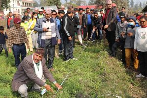 मध्यवर्तीको जग्गा मनपर्दी नबाड्न र माडी बाँदरझुलाको जग्गा नचलाउन चितवन निकुञ्जको निर्देशन