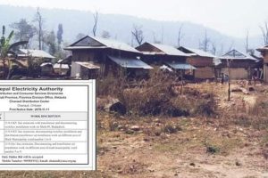 माडीको बाँदरझुलासंगै कृषि क्षेत्रहरुमा बिधुत बिस्तारका लागि प्राधिकरणद्वारा टेण्डर आव्हान