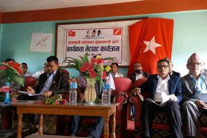 नेकपा एकीकृत समाजवादीका उपाध्यक्ष पाण्डे भन्छन्: कुनैपनि हालतमा एमालेसंग मिल्दैनौ