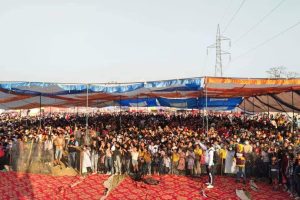 रत्ननगर महोत्सव : शनिवार २५ हजारले गरे अबलोकन