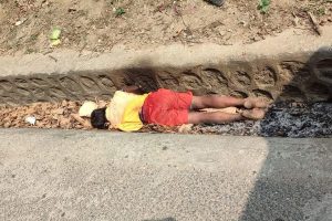 सरसफाई गर्ने क्रममा भरतपुरमा करेन्ट लागेर एक जनाको मृत्यु