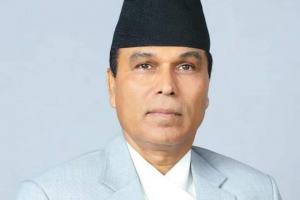 बिकास र जनतालाई जिताउने भए हलोमा भोट: नेता पाण्डे