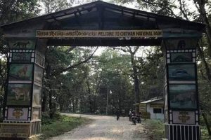 चितवन राष्ट्रिय निकुञ्जमा धुलो रहित बाटो निर्माण नहुँदा जनजीवन कष्टकर