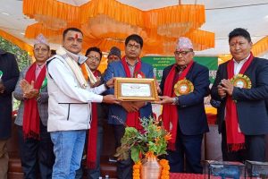 क्रियाशिल युवा पत्रकार सापकोटा सम्मानित