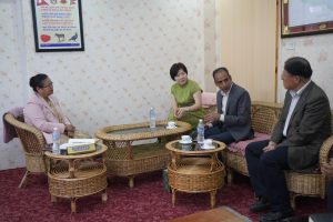 महिला मन्त्री चौधरी र पूर्व राजदूत लिउ युहेबिच भेट