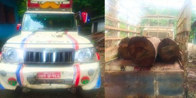 चितवनमा अवैध काठको गोलिया सहित बोलेरो नियन्त्रणमा